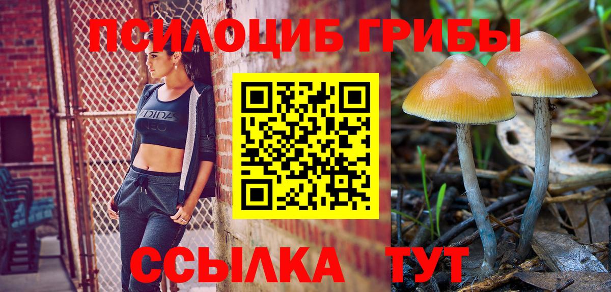 Галлюциногенные грибы Magic Shrooms Якутск