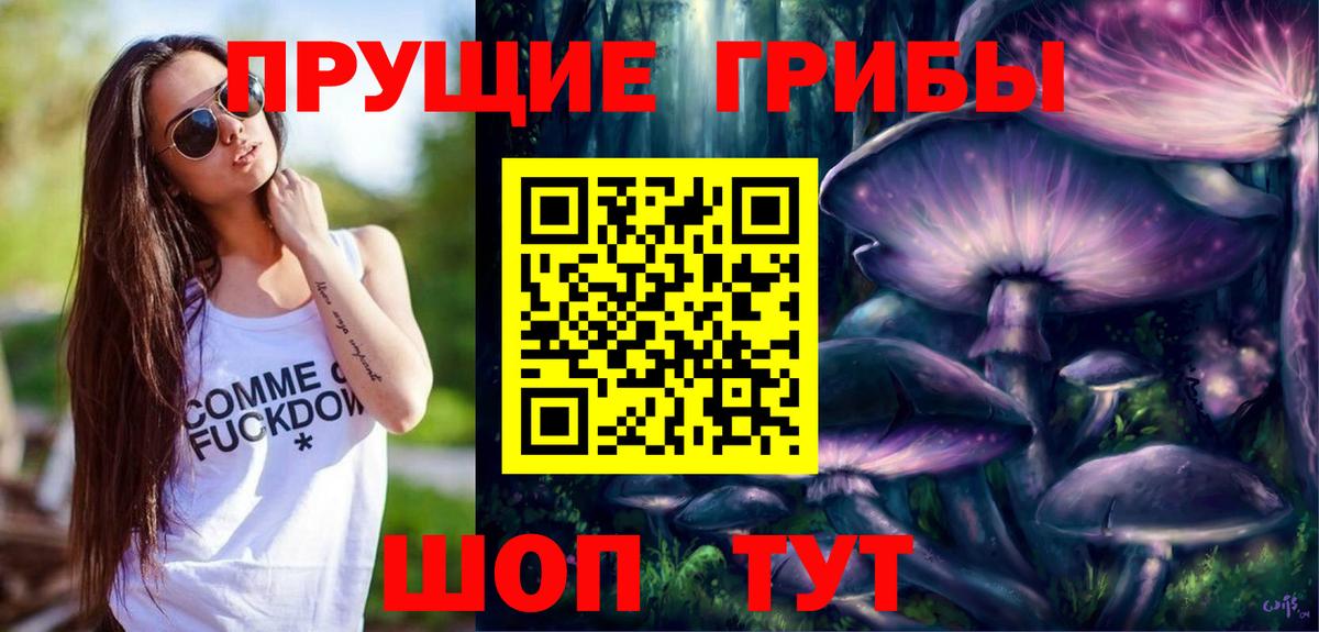Псилоцибиновые грибы Psilocybe  Псилоцибиновые грибы прущие грибы  Вход с VPN  Якутск 